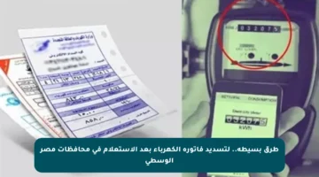 طرق بسيطة.. لتسديد فاتورة الكهرباء بعد الاستعلام في محافظات مصر الوسطى